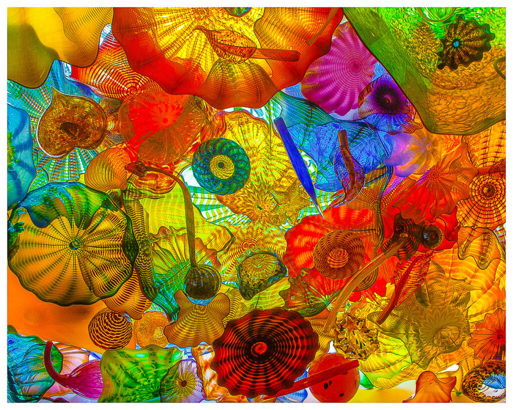 Specials DPI December 2024 – Bursting with Color – Foresters Camera Club