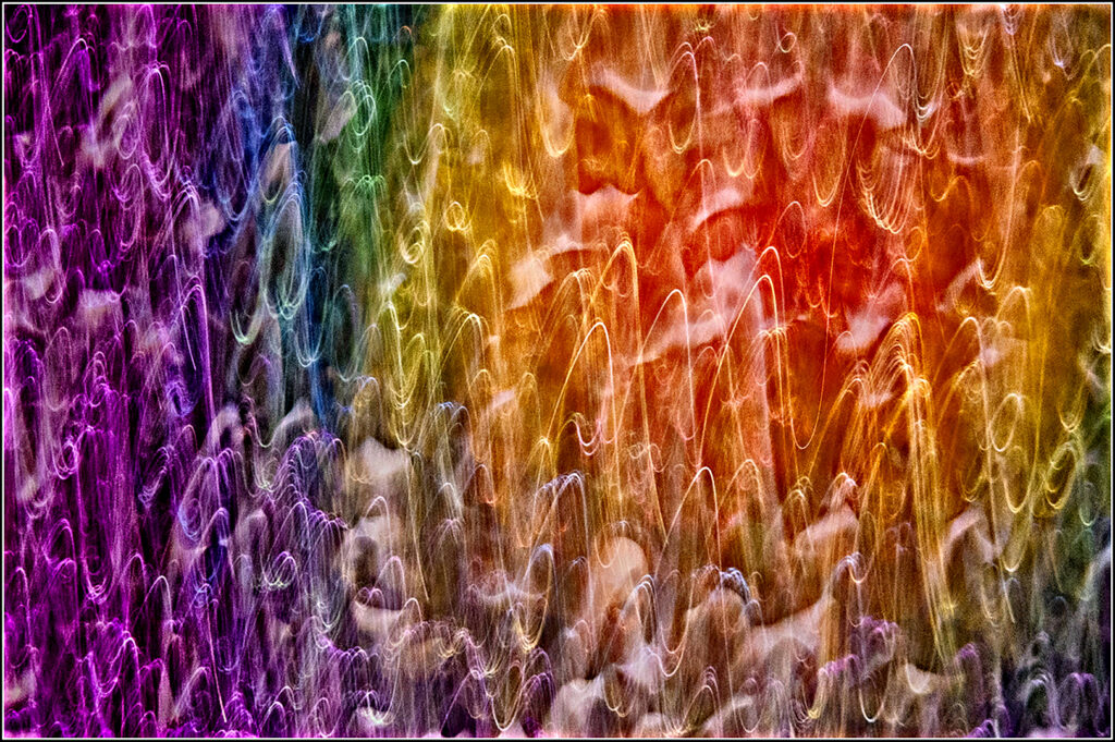 Specials DPI December 2024 – Bursting with Color – Foresters Camera Club